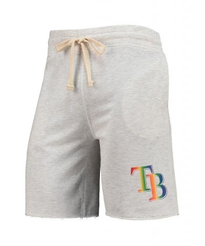 Men's Oatmeal Tampa Bay Rays Mainstream Logo Terry Tri-Blend Shorts $31.34 Shorts